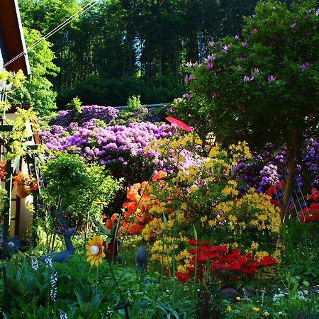 Ferienwohnung Baacke Ruhla Bagian luar foto